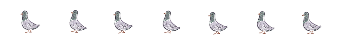 Le Pigeon
